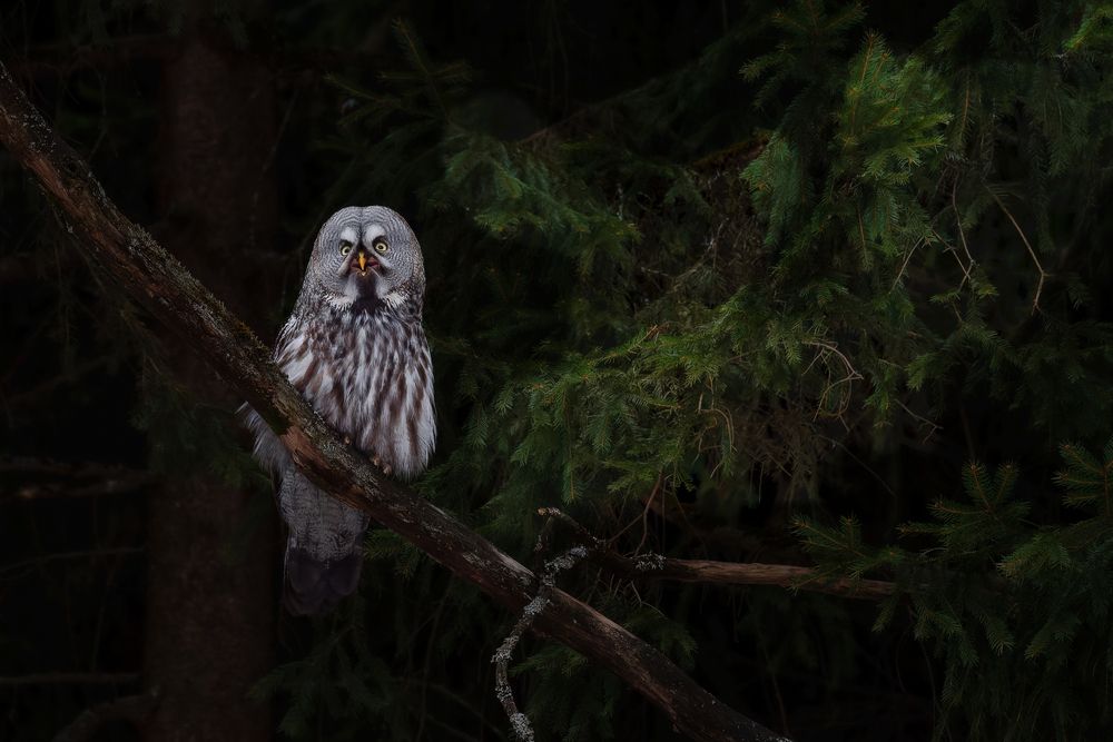 Photograph by Сергей Немцев