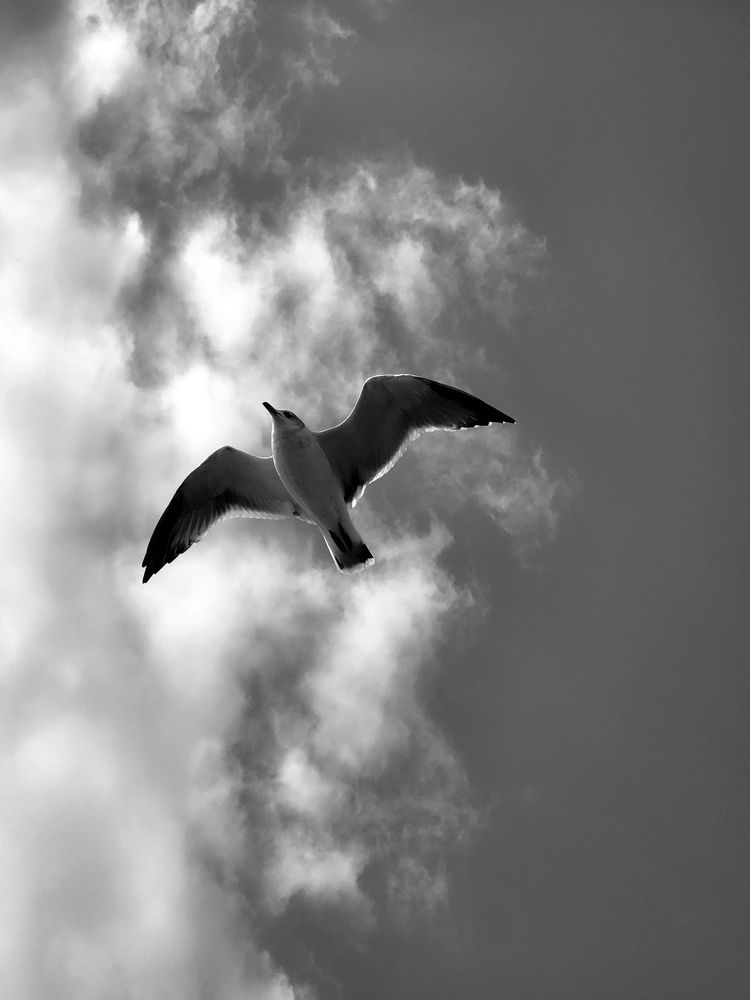 Photograph by Inna Iudina