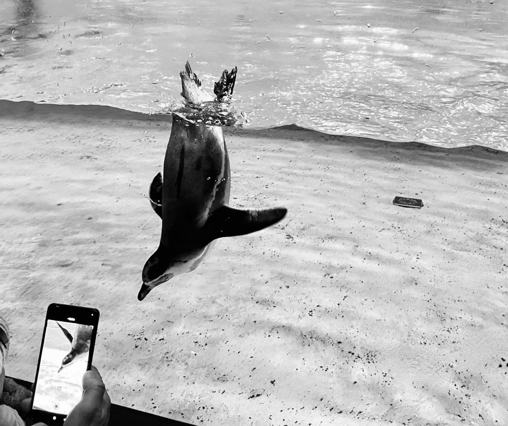 Photograph by Татьяна Шитлина