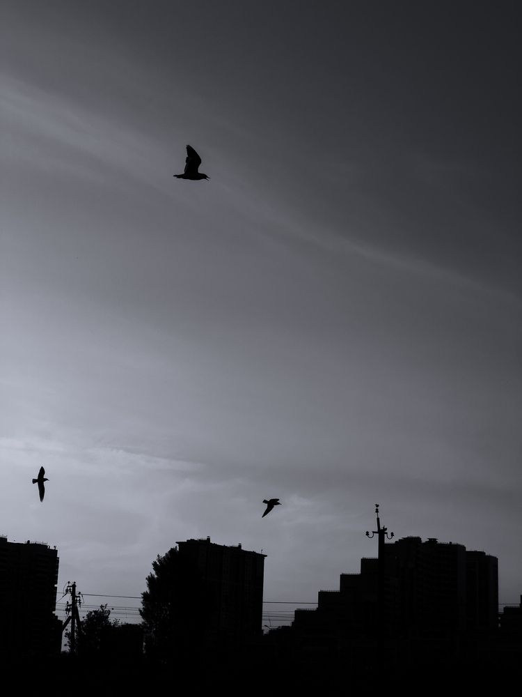 Photograph by Ася Жгенти