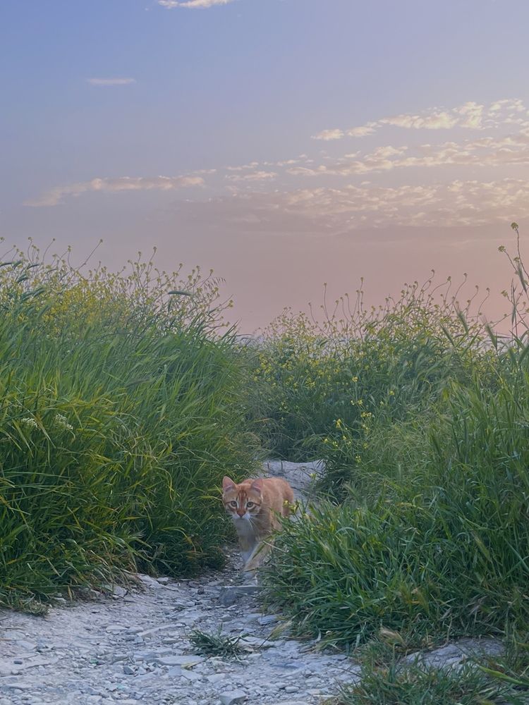 Photograph by Олеся Старицкая