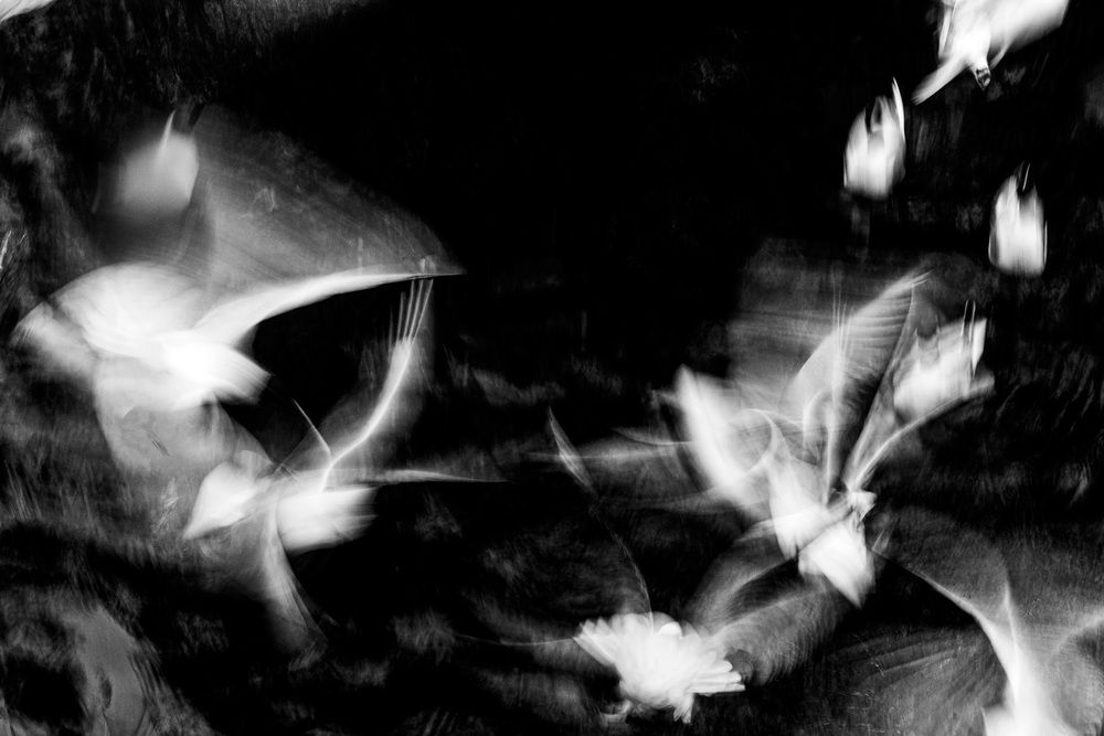 Photograph by Людмила Аксенова