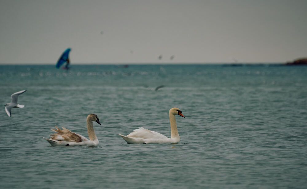 Photograph by Константин Громов