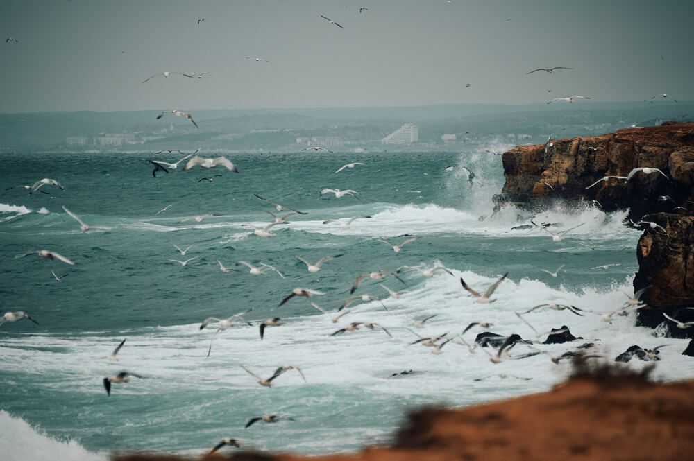 Photograph by Константин Громов