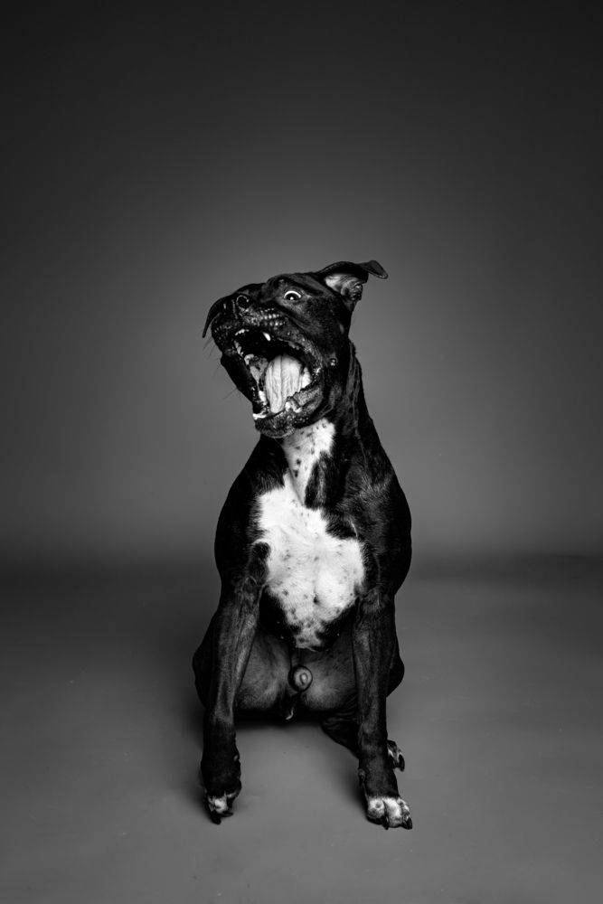 Photograph by Denis Karpenko