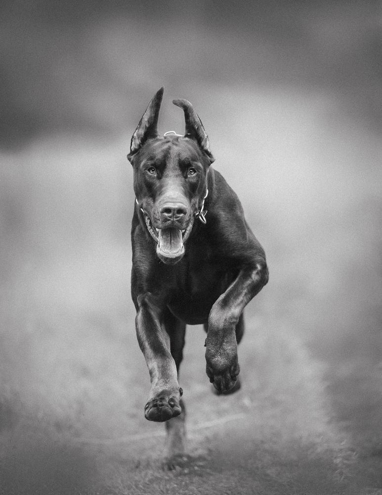 Photograph by Мария Клещенко