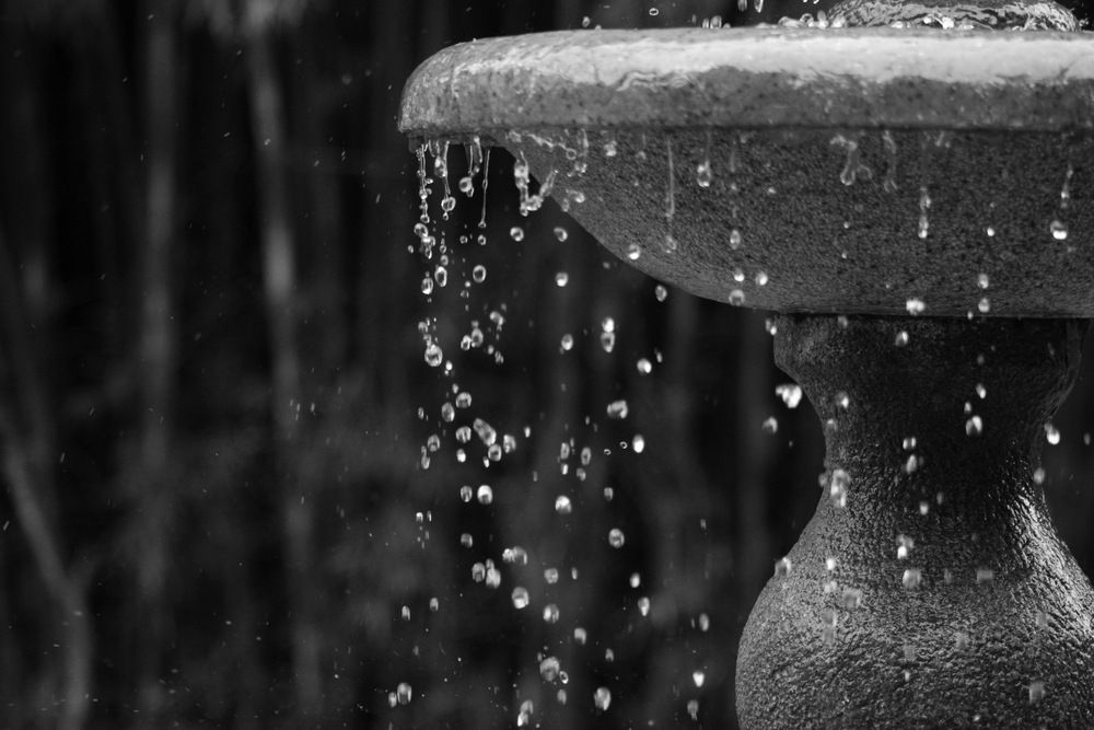 Фотография автора Alexandre Pimentel