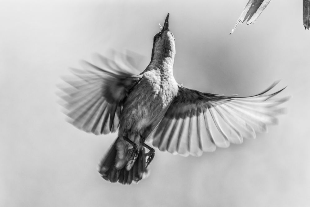 Photograph by Shalini Jain