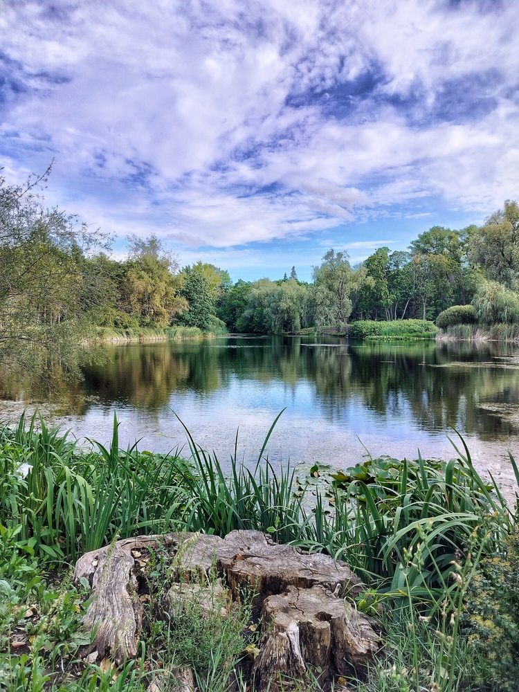 У озера (By The Lake)