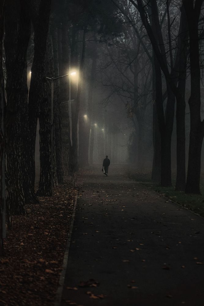 Photograph by Владимир Кульбит