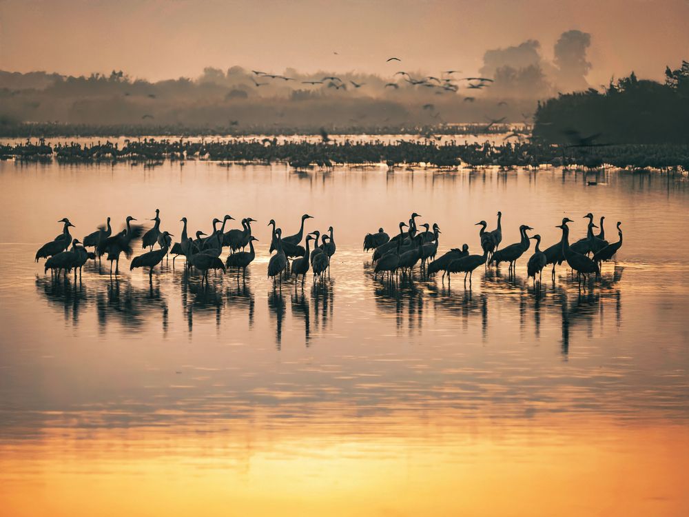 Photograph by Semion Ribinik