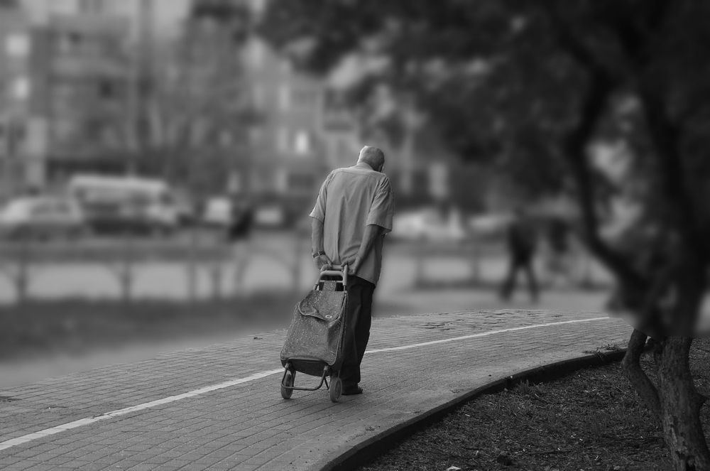 Photograph by Светлана Логинова