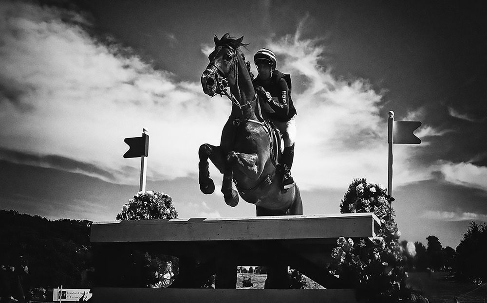 Фотография автора Елена Лаврова