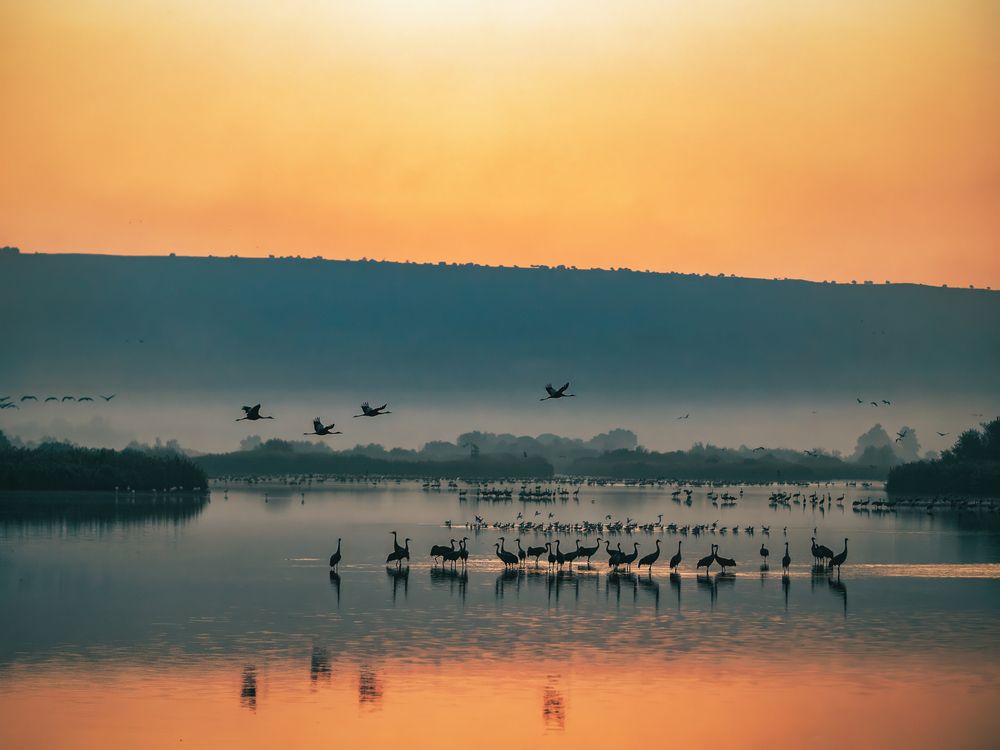 Photograph by Semion Ribinik