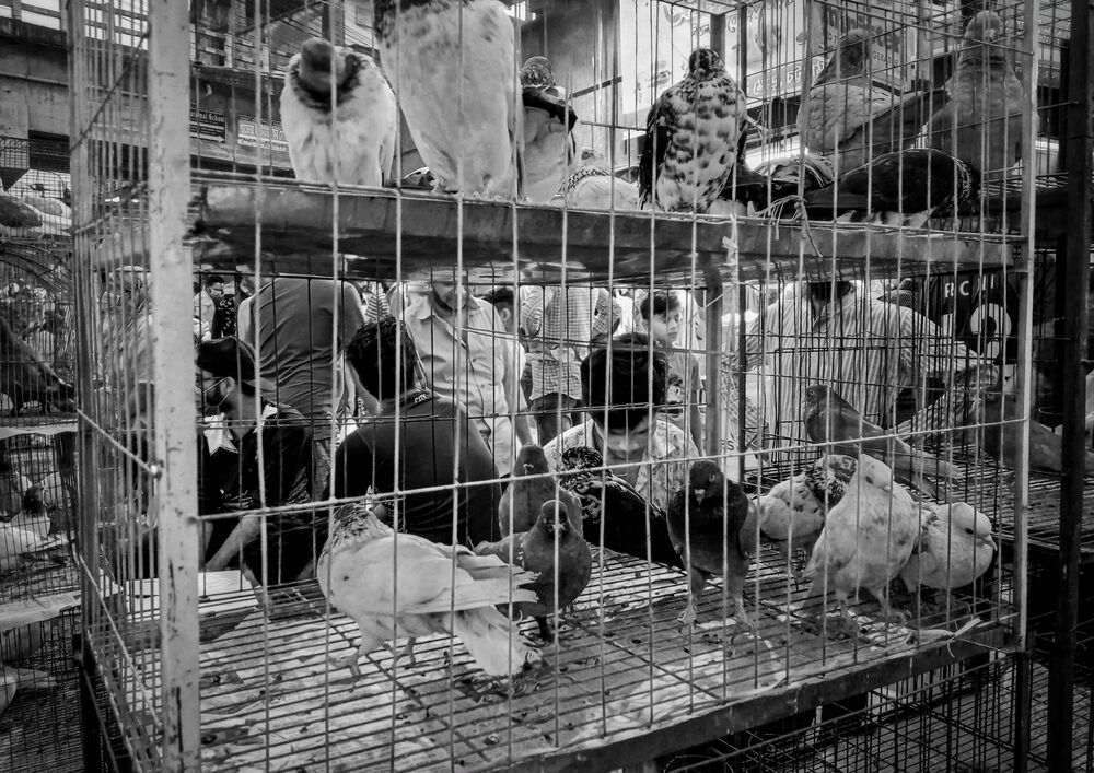 Photograph by Hasan Mehedi Amin