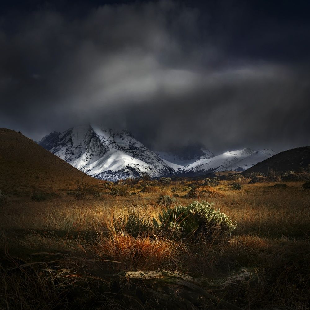 Фотография автора Eduardo Modolo