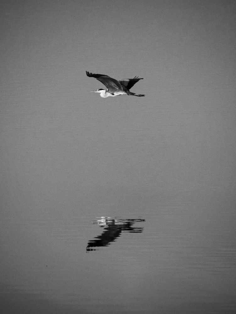 Photograph by Анна Любимова