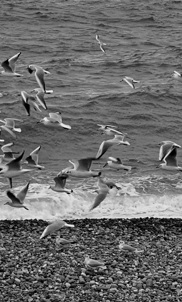 Фотография автора Asya