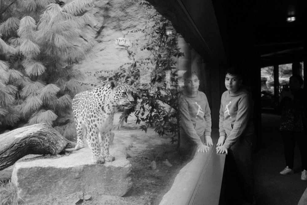 Фотография автора George Peter Alshevskij-Jones