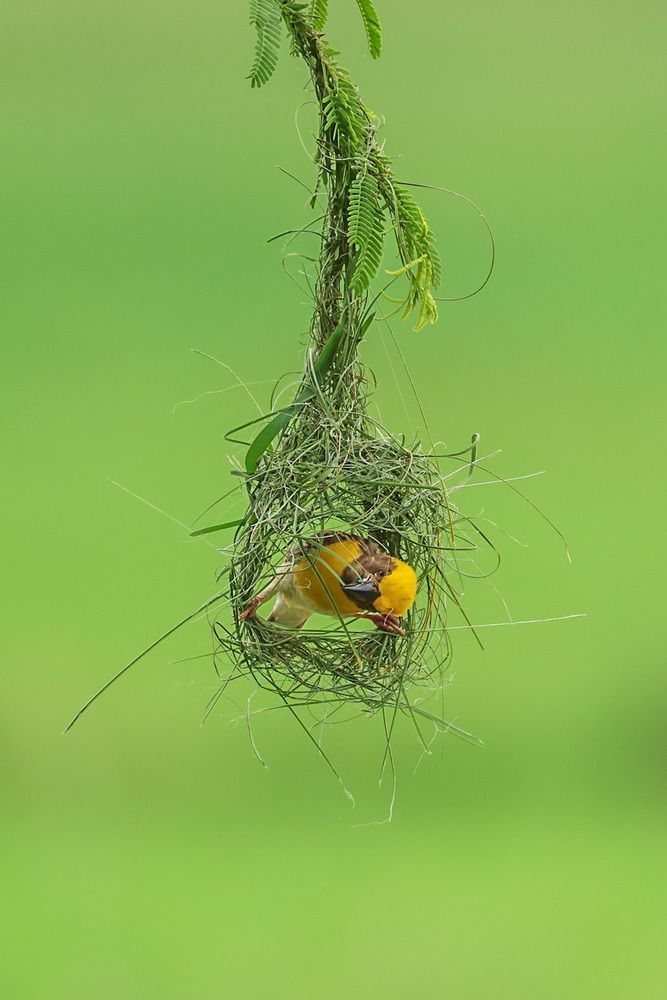 Photograph by Shalini Jain