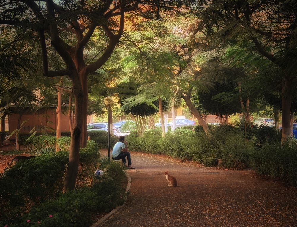 Photograph by Moamen Khaled