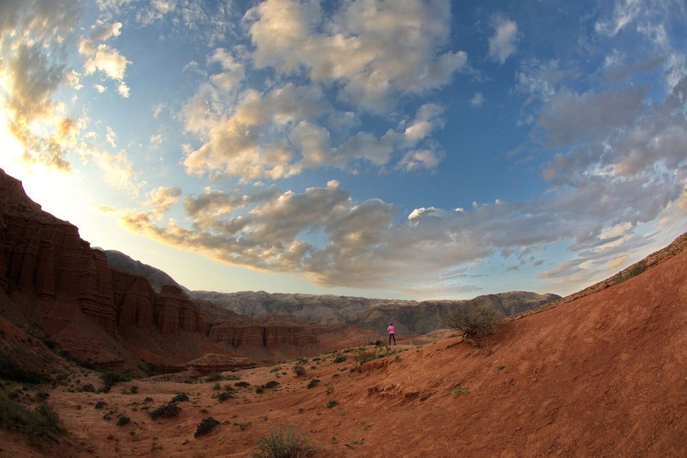 Photograph by Ирина Сушко