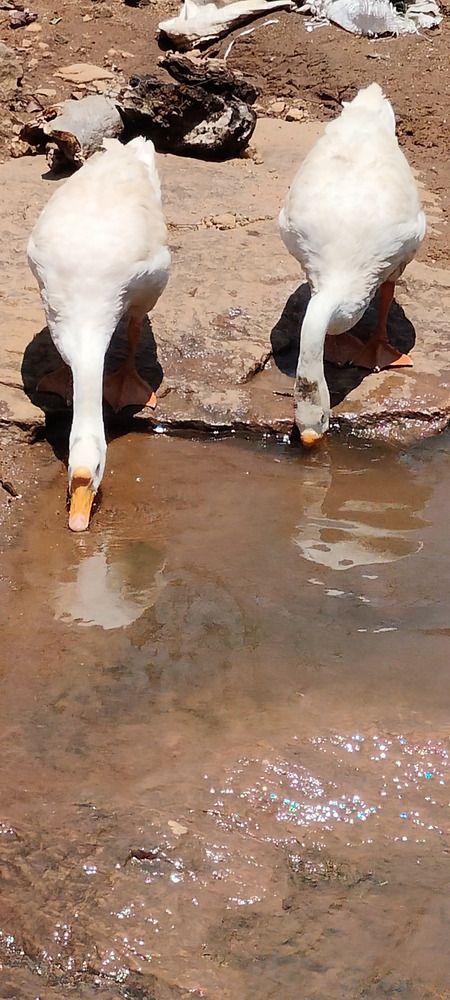 Photo #12819048