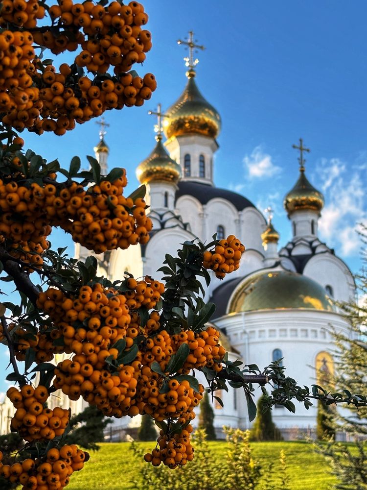 Photograph by Дмитрий Бадальянц