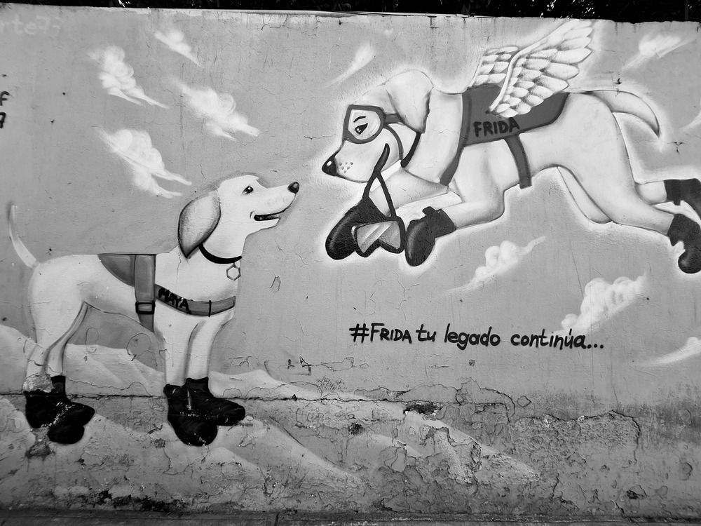 Фотография автора Diego Cesar Monroy Chaparro