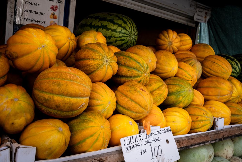 Photograph by Anastasia