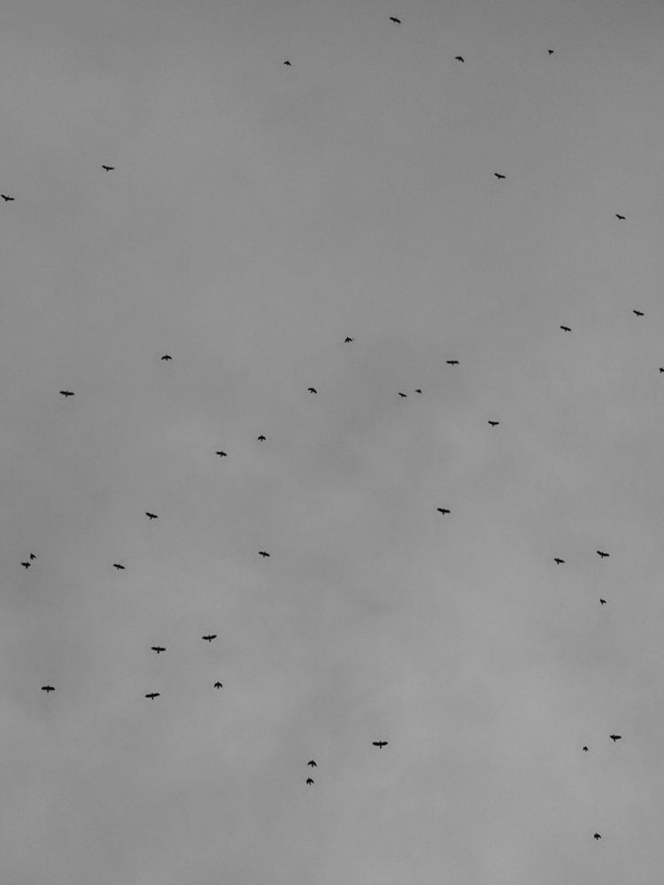 Фотография автора Юлия Гантимурова