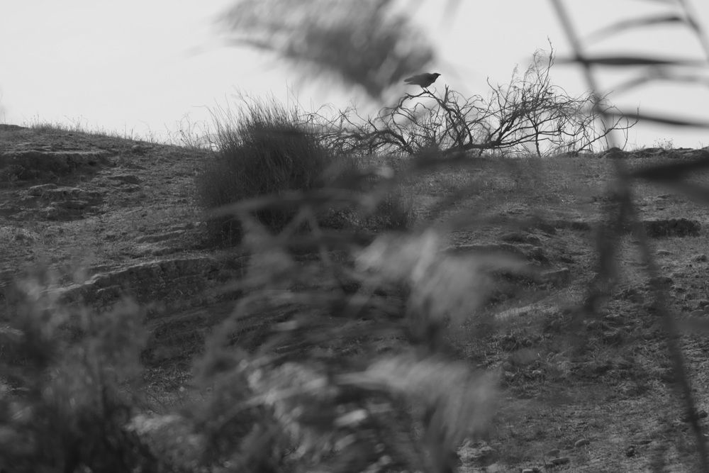 Photograph by Vladimir liametz