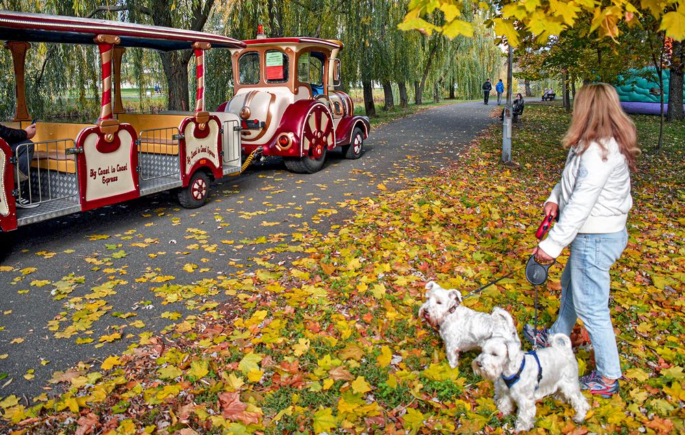 Надо пропустить транспорт