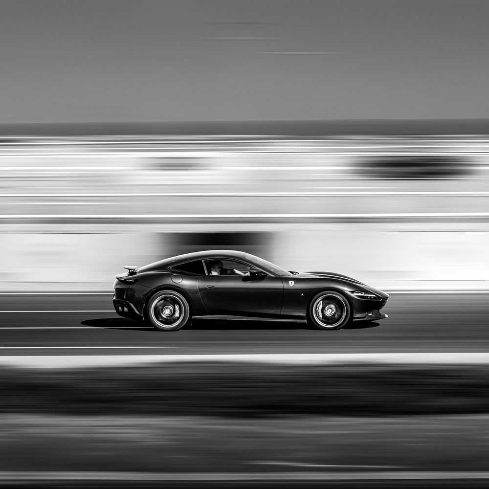 Photograph by Alaa Nour