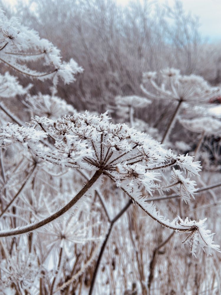 Фотография автора Татьяна Савранчук