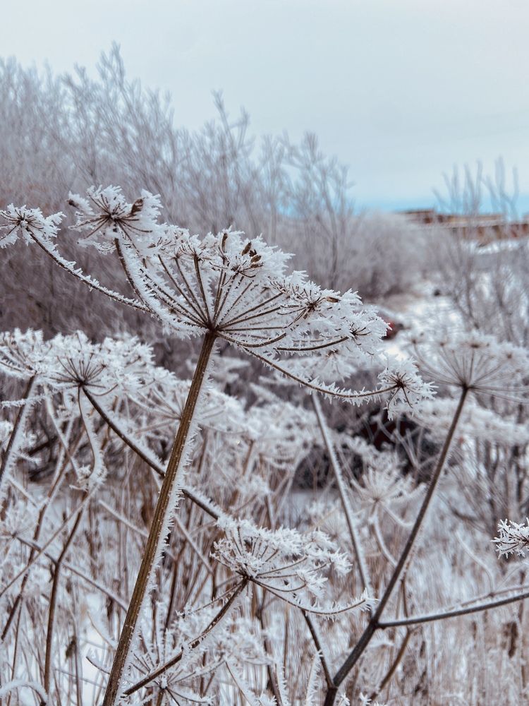 Фотография автора Татьяна Савранчук