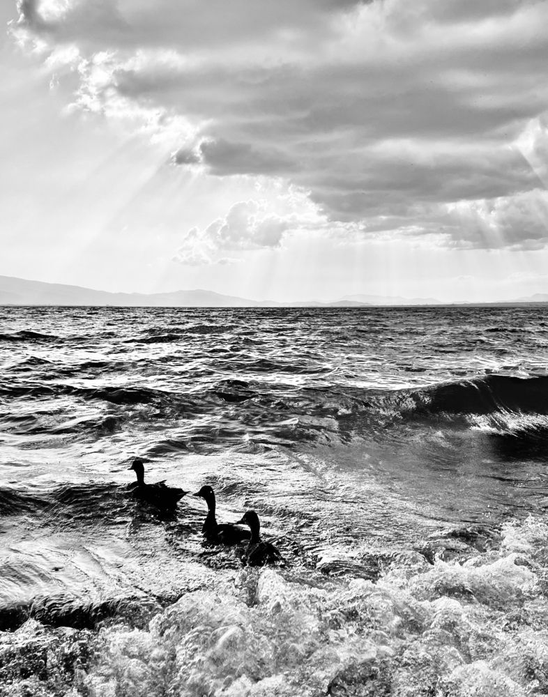 Photograph by Eleni Christogianni