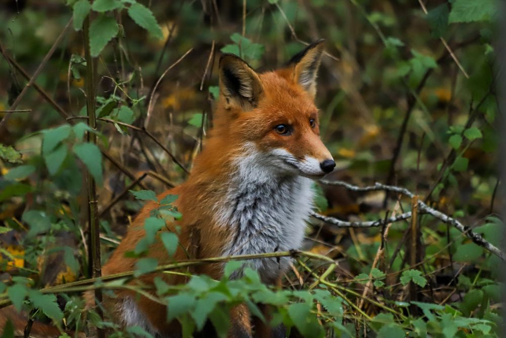 Photograph by Дмитрий Лепаков