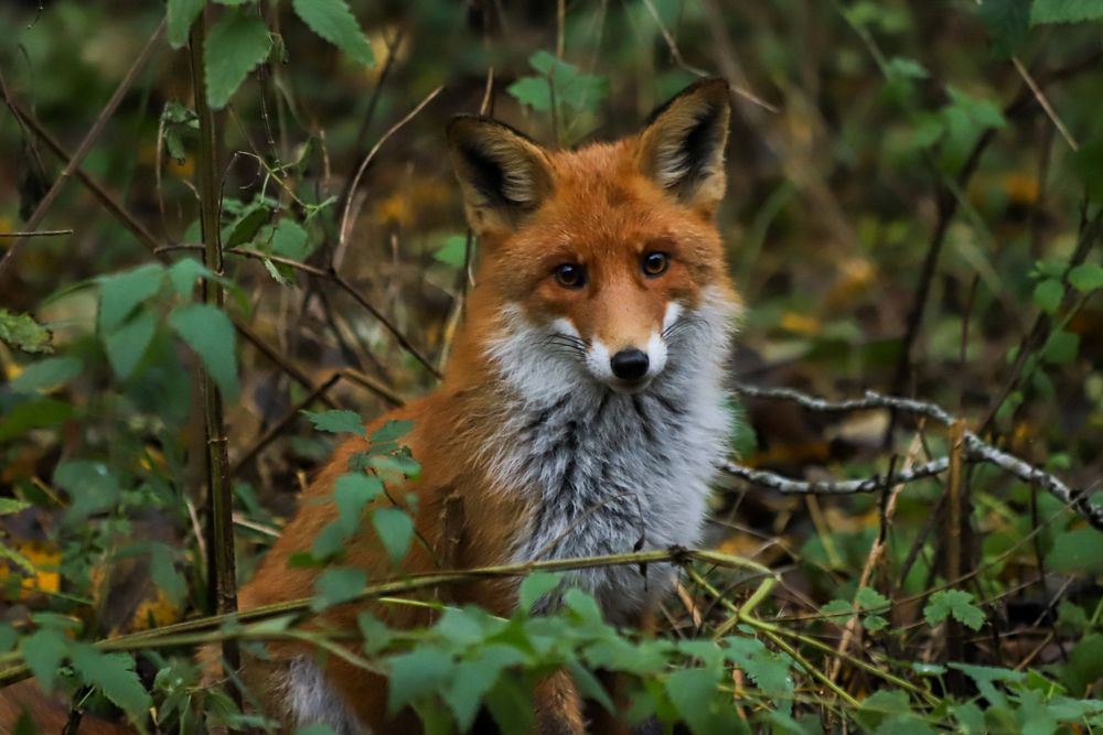 Photograph by Дмитрий Лепаков