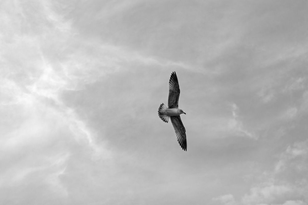 Фотография автора Fallen Angel