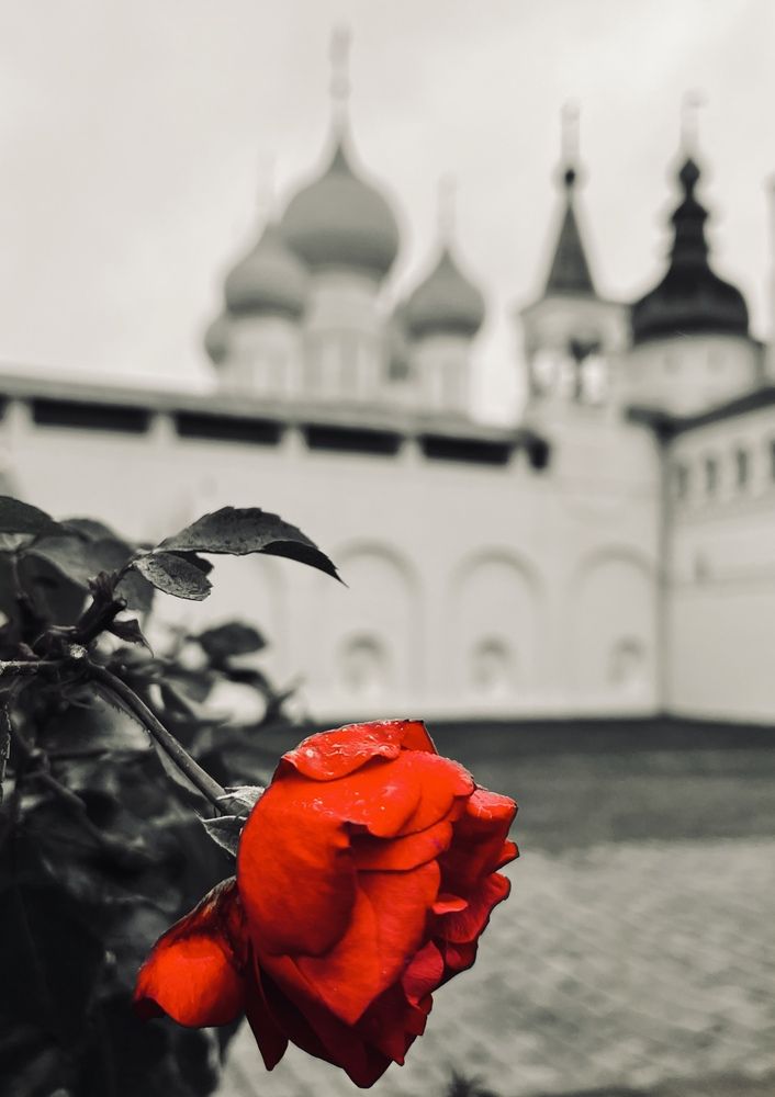 Photograph by Олег Банковский
