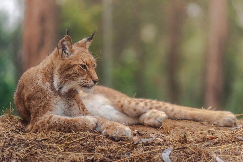 Photograph by Bruno Ribeiro