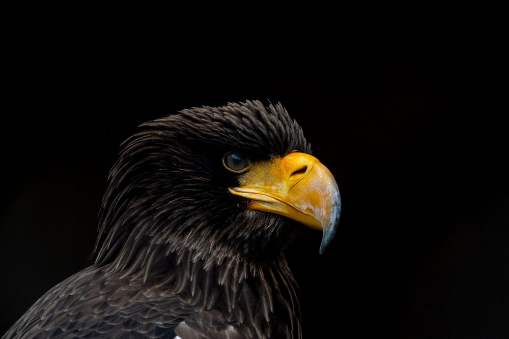 Photograph by Sudheer Nunna