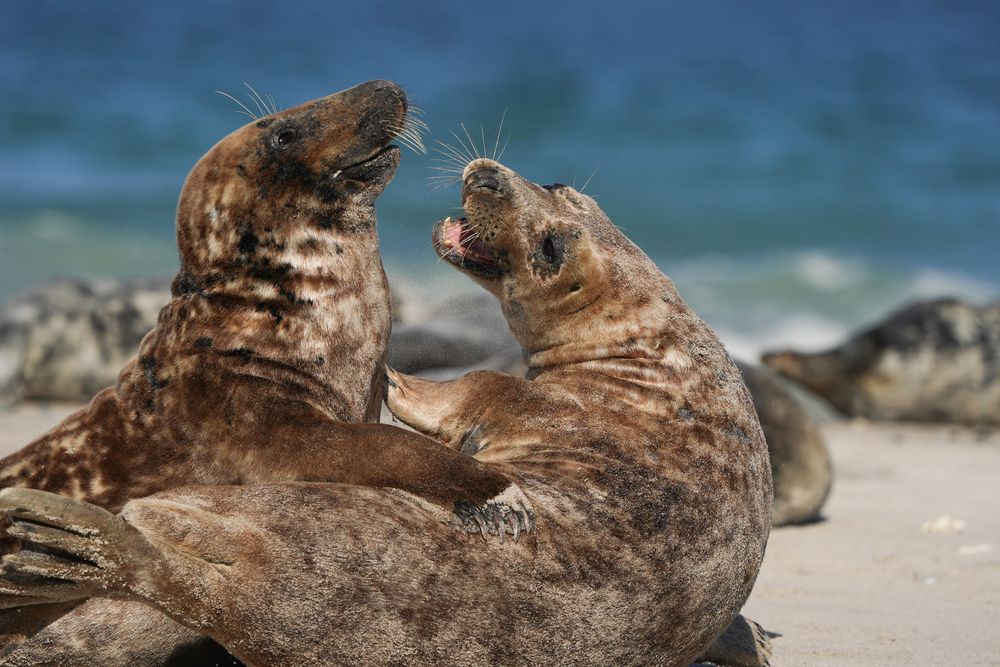 Photograph by Sudheer Nunna