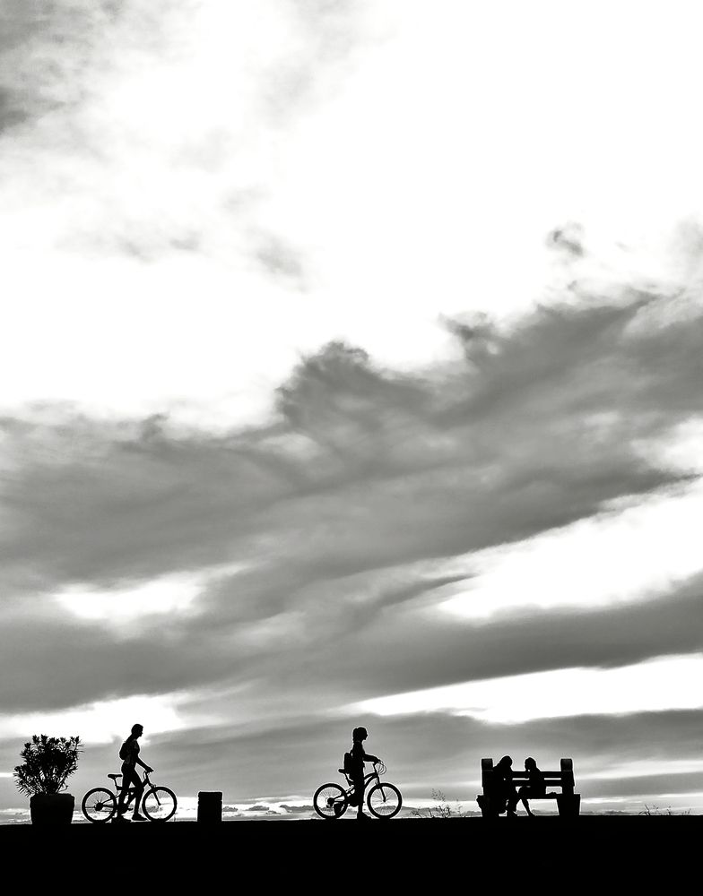 Фотография автора JELENA VASIC