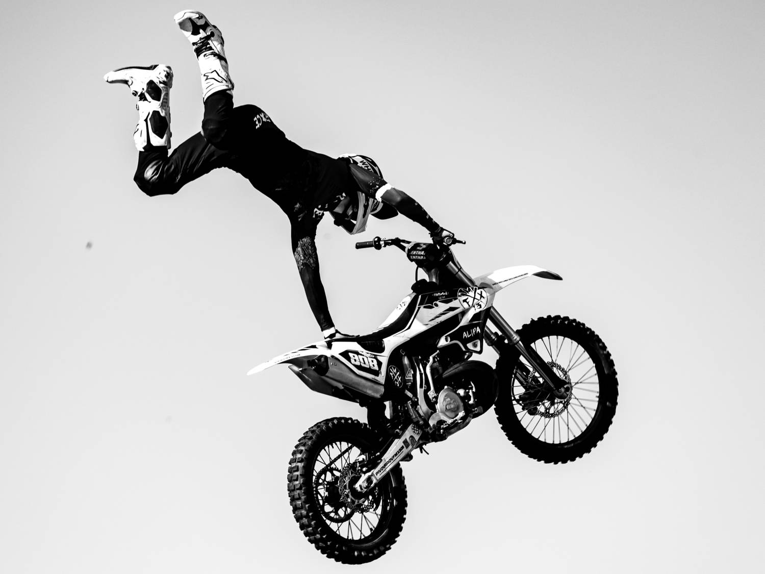 Фотография #12820385