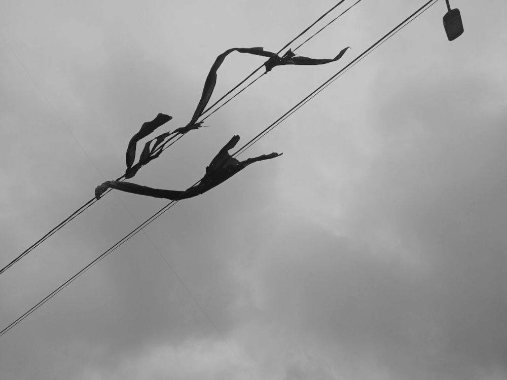 Photograph by Екатерина Ерина