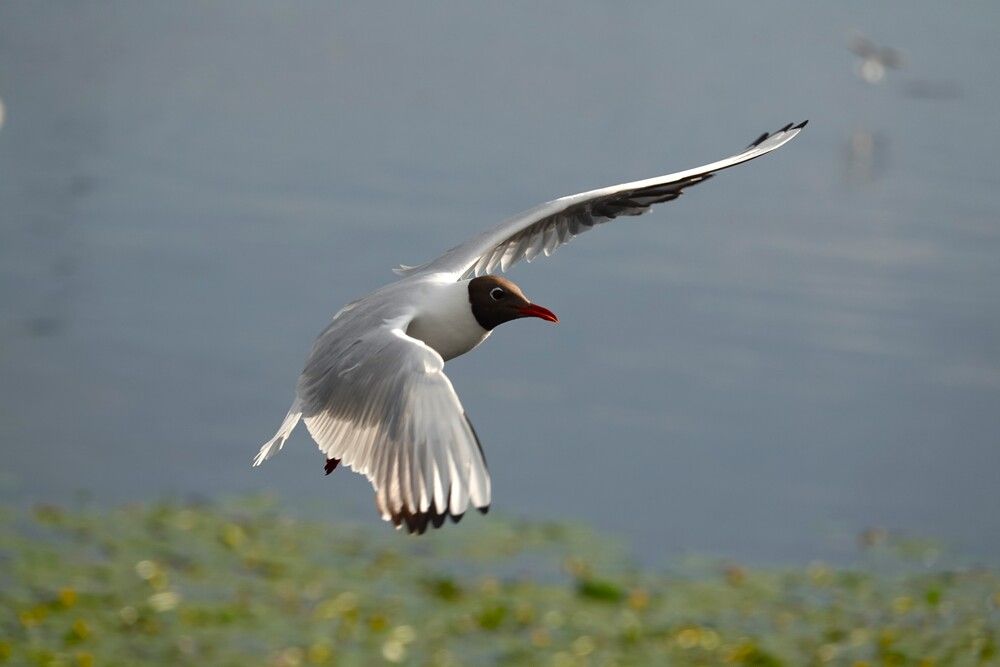 Photograph by Zakharov Matvey