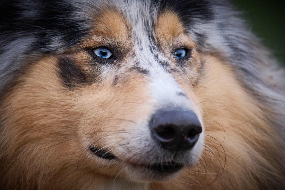 Photograph by Виктор Водовозов
