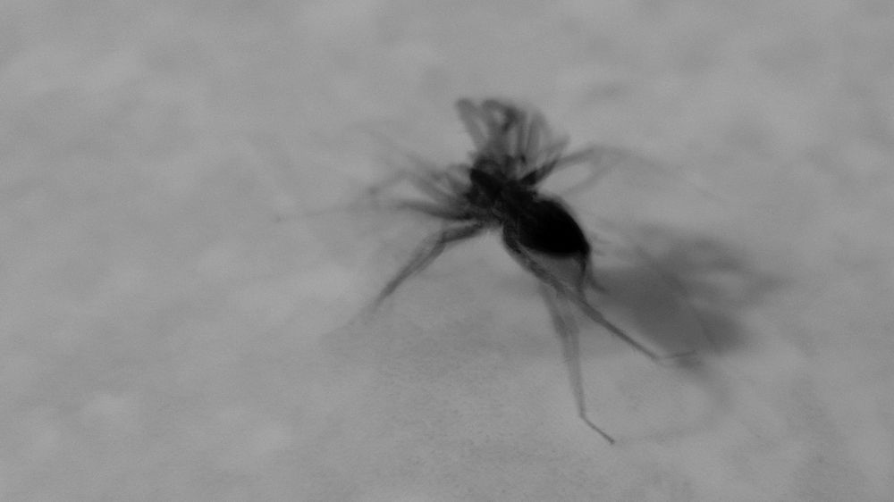 Photograph by Анастасия Маклакова